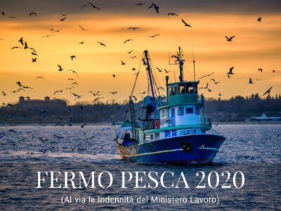 Fermo Pesca 2020