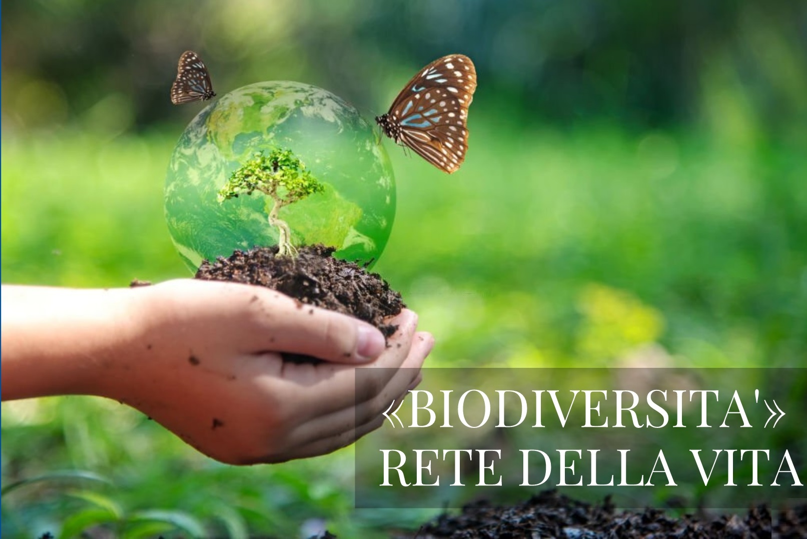 ? La biodiversità costituisce “la rete della vita”. L'ecosistema e le  conseguenze della siccità